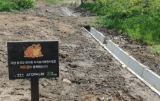    ȣ   缭   α 
