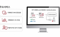 ó������, 20�� �̸��� ���Ͽ� ���� ��IP ���� ������DNS ���� ����ȭ�� ���� ���