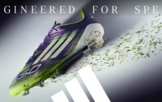 Ƶٽ,  ǵ F50 Ʈ  