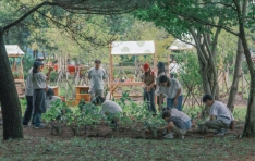 ̴Ͻ  ׸ ũ硯 ձ ǿ ý