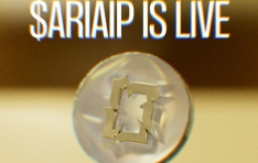 Ƹ , IP RWA °踦  $ARIAIP 