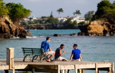 ����Ʈ���� �ǰ�����, ���� �ǰ� �ν� ������ �� �¾� �������� ���� ������ �߿伺 ����