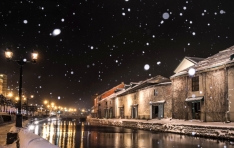 , õ桤̽    ص ̾ ܿ ȹ 