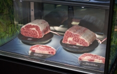 Ƽ�����̿���, ���� ���ʷ� ���� ����� ������ ������ ���� �� ����