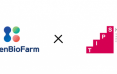 Ƽ�����̿���, �߼Һ�ó����� �ְ� ���۷ι� ������ ����