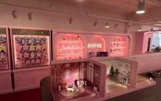 ���øվص����ũ�ʵ�, IP ���� �귣�� ����Ƽ���� ������ �÷��׽� ����� ���� ��ȹ ����