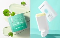 ��ǻ���� ��ī ī�� �ٿ� ũ��, ��ƽ �㽺ũ�� 2�� PX �ű� ����