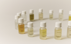 �Ʒθ�Ƽī, ���Ͻ� ť������ �÷��� ���ø��꺣���� ���� ����