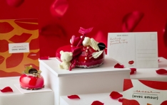 ����� ���ϴ� ���� ������ ����, ȣ�� ����ũ�� ���̴����� �ϼ��ϴ� �뷱Ÿ�ε���