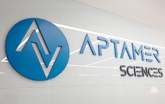 ��Ÿ�ӻ��̾�, �������� ���ȭ �ຸ�� ��ȯ��Ż�¡�